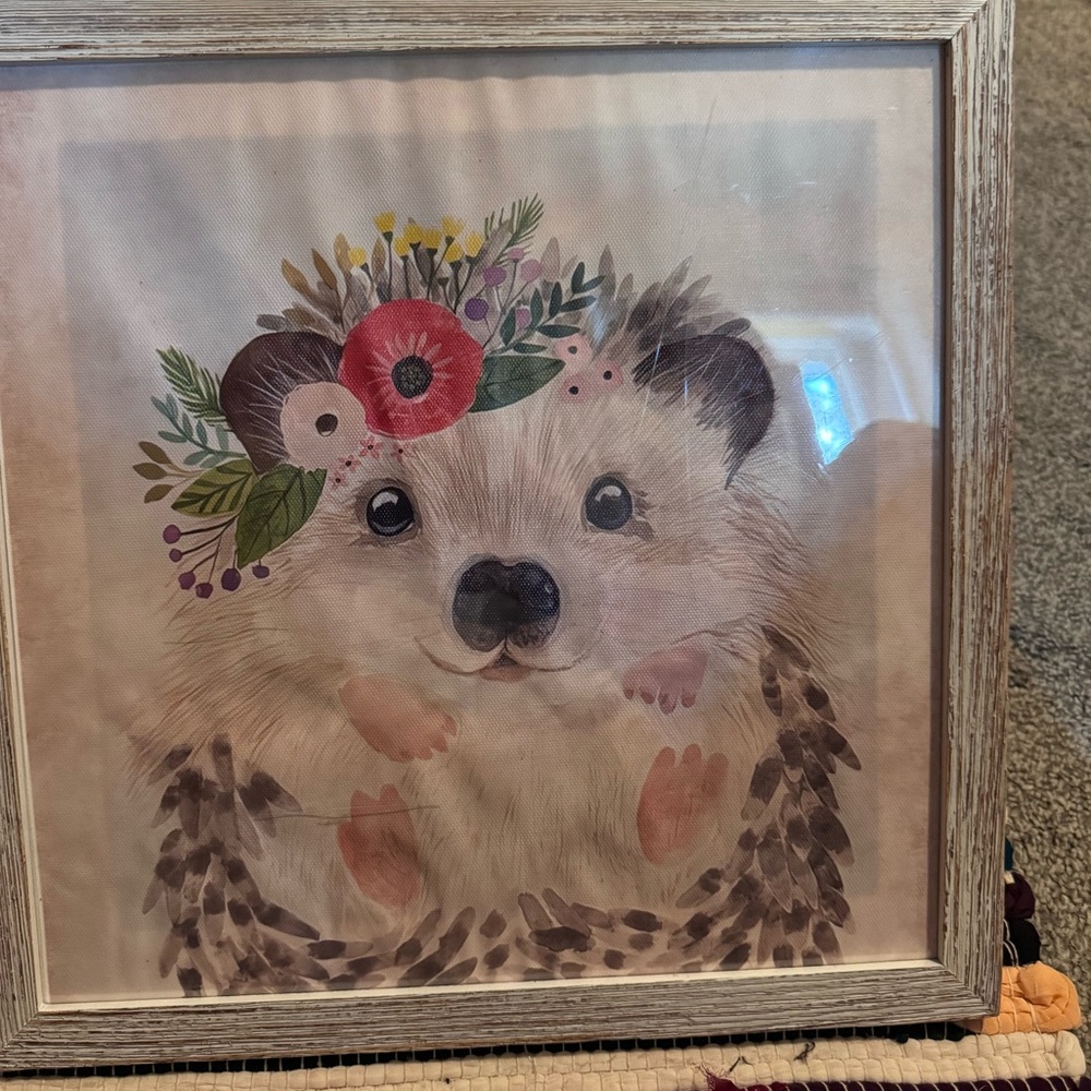 Hedgehog Print In New Frame